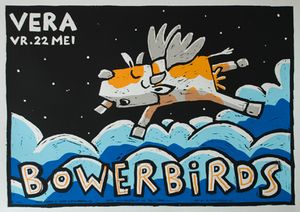 Bowerbirds - Groningen, 2009