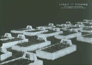 Sengir - Groningen, 2003