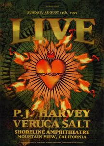 Live Mountain View 1995