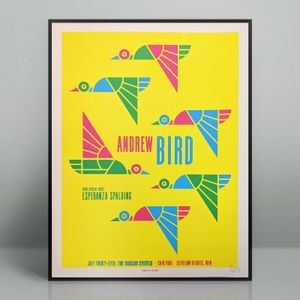 Andrew Bird Cleveland Heights 2017