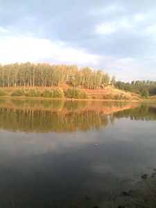 Сад (селище)