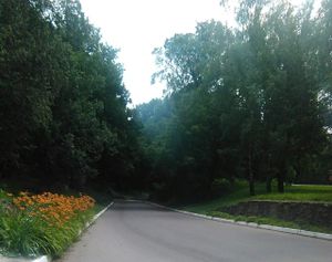 Сад (селище)