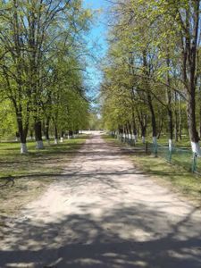 Сад (селище)