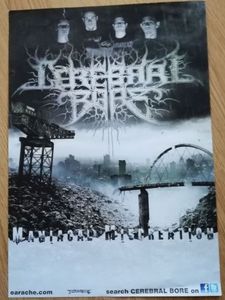 Cerebral Bore