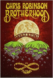 Chris Robinson Brotherhood San Francisco 2015