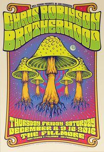 Chris Robinson Brotherhood San Francisco 2016