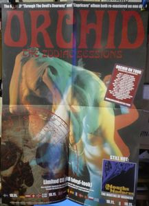 The Zodiac Sessions