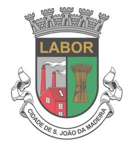 Município de S. João da Madeira
