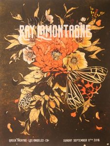 Ray LaMontagne Los Angeles 2016