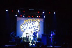 Shakin' Guts