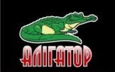 Алігатор