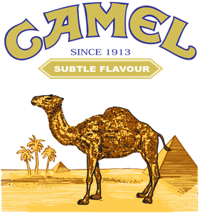 Camel