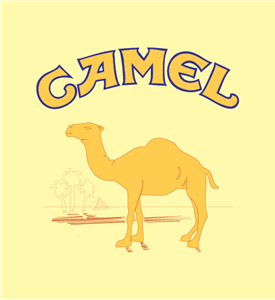 Camel