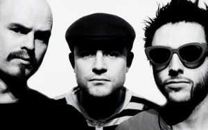 Trio VD