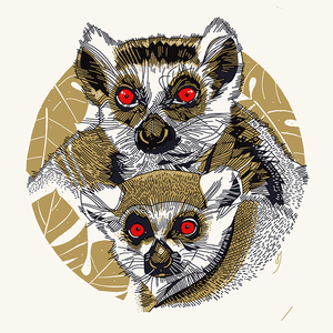 Animalines [Lemur] 2019 (Gold Edition)