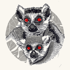 Animalines [Lemur] 2019 (Silver Edition)