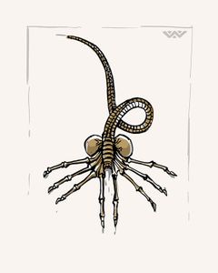 Facehugger 2013 (Variant Edition)