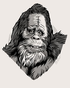 Harry 2016 (Variant Edition)