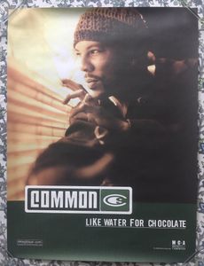 Common - Like Water For Chocolate