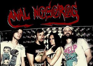 Anal Nosorog