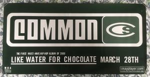 Common - Like Water For Chocolate