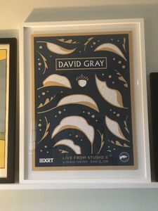 David Gray Chicago 2019