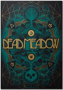 Dead Meadow Turin 2010