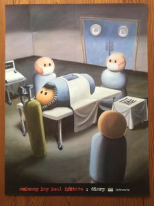 Sunny Day Real Estate - Diary