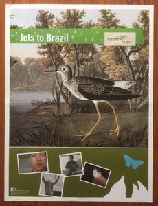 Jets To Brazil - Four Cornered Night