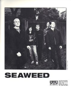 Seaweed