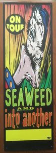 Seaweed and Into Another - On Tour