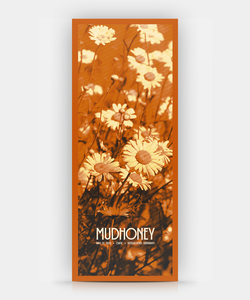 Mudhoney Dusseldorf 2013
