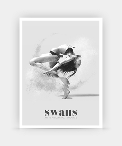 Swans Chicago 2016 (Night 1)
