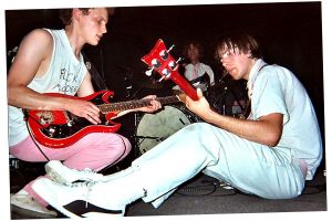 The Unicorns