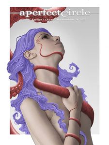 A Perfect Circle Chicago 2017 (Artist Proof)