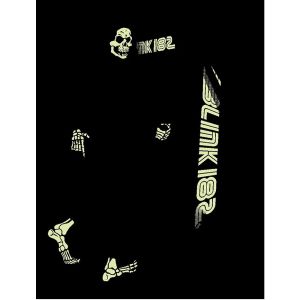 Blink-182 Nottingham 2012 (Artist Proof)