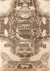 ElectronicEntity
