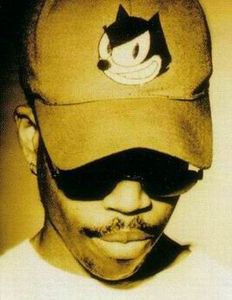 Felix Da Housecat