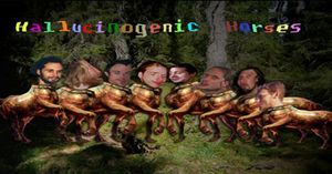 Hallucinogenic Horses