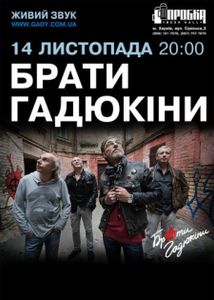 Брати Гадюкіни