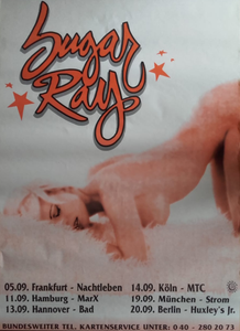 Sugar Ray (2)