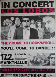 In Concert Los Lobos
