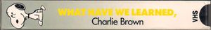 What Have We Learned, Charlie Brown