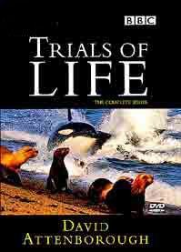 The Trials of Life