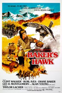 Baker's Hawk