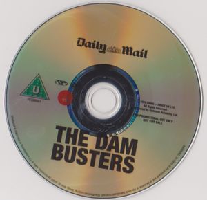 The Dam Busters (Daily Mail)