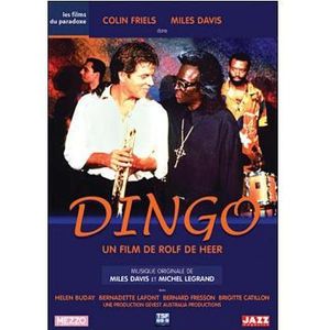 Dingo