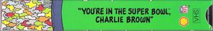 You're In The Super Bowl, Charlie Brown