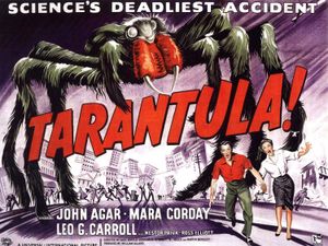 Tarantula!
