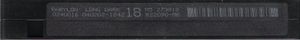 The Long Dark / Spider In The Web
